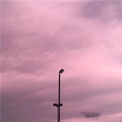 威斯尼斯wns888入口官方版下载