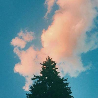 万博官网manbetx-登录入口