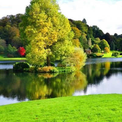 澳门精准正版资料大全下载手机版