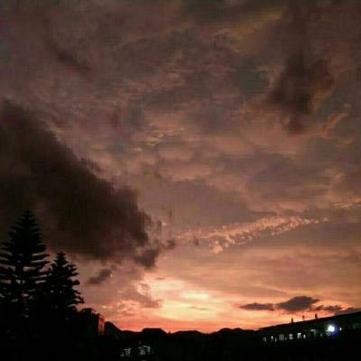 半岛手机网页版截图