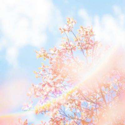 LOL外围官网app下载