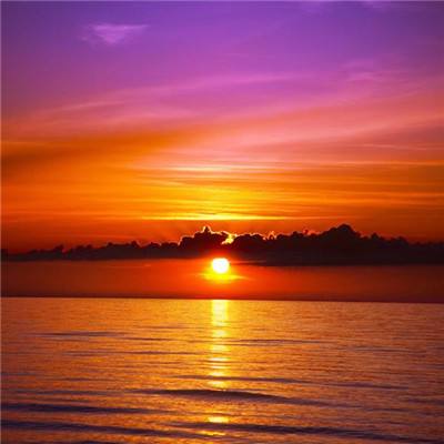 半岛手机网页版截图