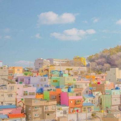 云顶集团手机app下载