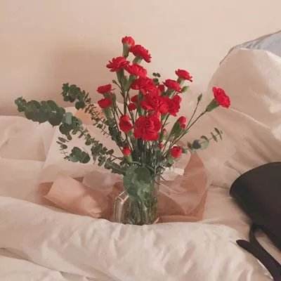 竞彩足球app官方手机app下载