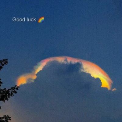 澳门天天免费资料大全下载